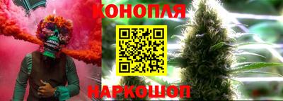 дмт Будённовск